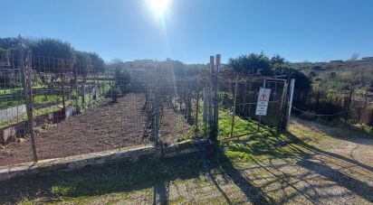 Terreno di 485 m² in Bacoli (80070)