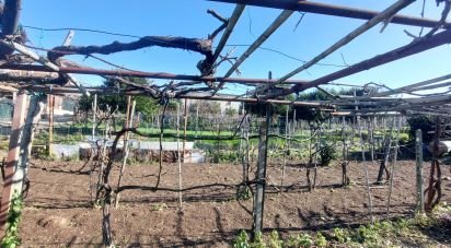 Terreno di 485 m² in Bacoli (80070)