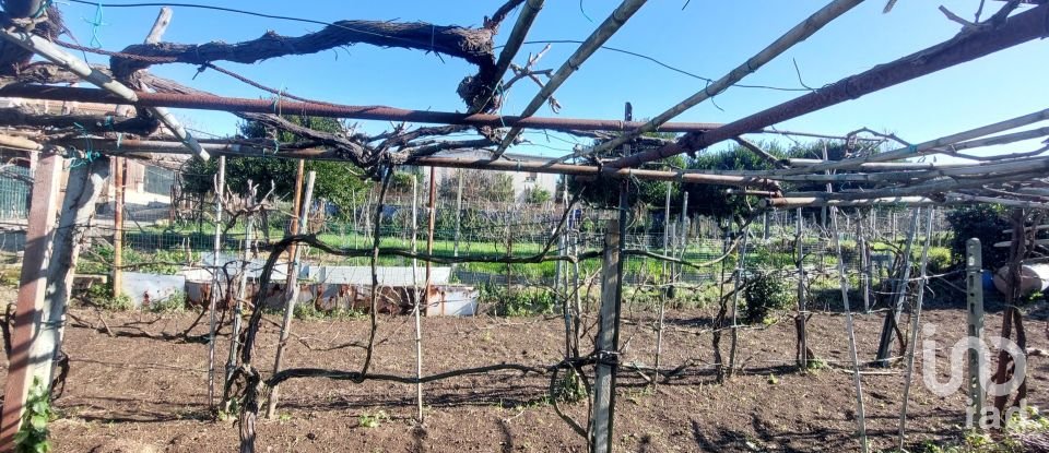 Terreno di 485 m² in Bacoli (80070)