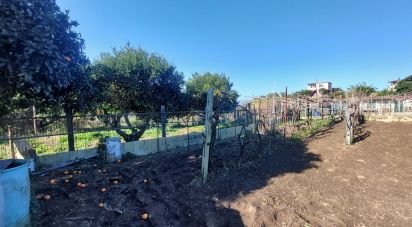 Terreno di 485 m² in Bacoli (80070)