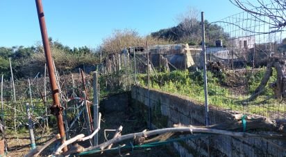 Terreno di 485 m² in Bacoli (80070)