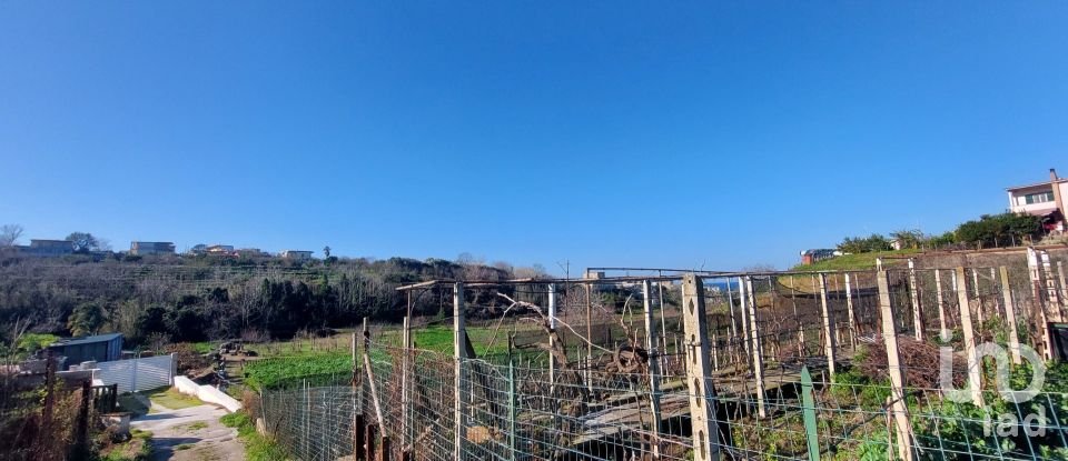 Terreno di 485 m² in Bacoli (80070)