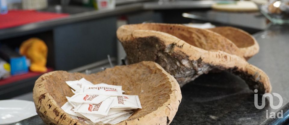 Bar tabacchi di 70 m² in Torino (10134)