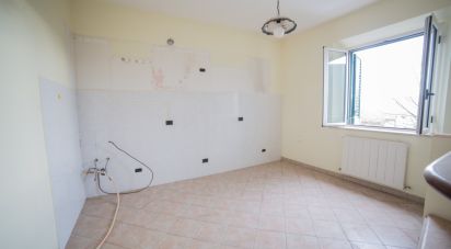 Casa indipendente / Villa 14 locali di 320 m² in Serra de' Conti (60030)