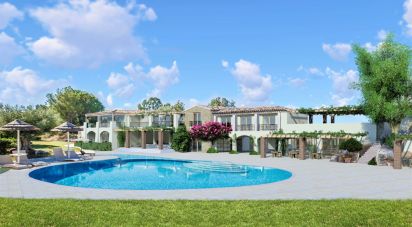 Land of 11,641 m² in Tertenia (08047)