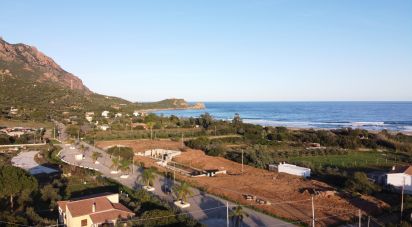 Land of 11,641 m² in Tertenia (08047)