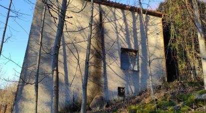 Costruzione 3 locali di 260 m² a Santo Stefano d'Aveto (16049)