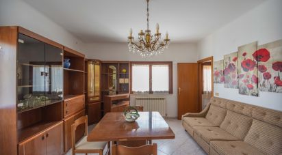 Trilocale di 58 m² a Portomaggiore (44015)