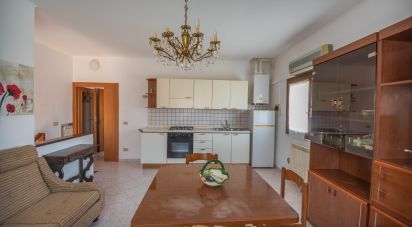 Trilocale di 58 m² a Portomaggiore (44015)
