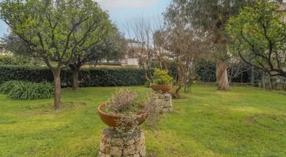 Trilocale di 70 m² a Borghetto Santo Spirito (17052)