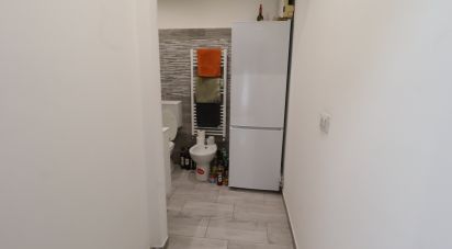 Monolocale di 35 m² a Torino (10149)