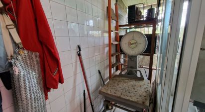 Negozio / locale commerciale di 33 m² in Pietra Ligure (17027)