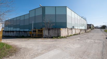 Capannone di 2.000 m² in Volta Mantovana (46049)