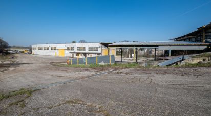 Capannone di 2.000 m² in Volta Mantovana (46049)