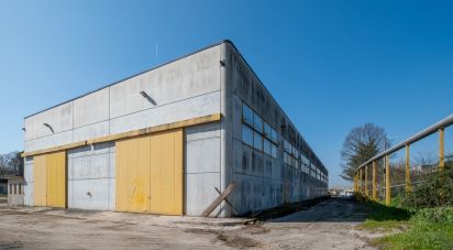 Capannone di 2.000 m² in Volta Mantovana (46049)