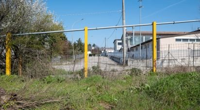 Capannone di 2.000 m² in Volta Mantovana (46049)