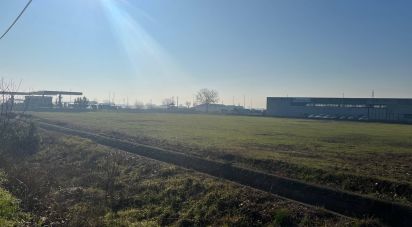 Terreno di 9.400 m² in Guidizzolo (46040)