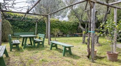 Casale 0 locali di 352 m² in Viterbo (01100)