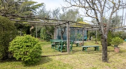 Casale 0 locali di 352 m² in Viterbo (01100)