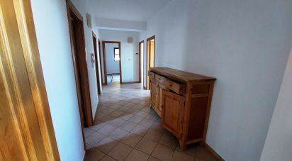 Appartamento 6 locali di 109 m² a Santa Maria del Cedro (87020)