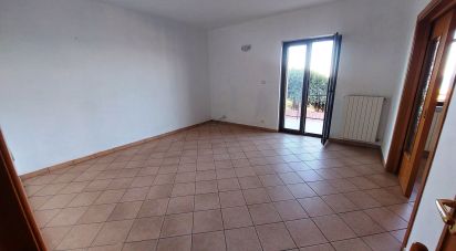 Appartamento 6 locali di 109 m² a Santa Maria del Cedro (87020)
