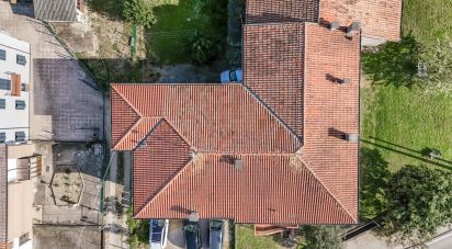 House 6 rooms of 273 m² in Rovigo (45100)