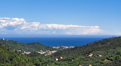 Appartamento 10 locali di 175 m² a Quiliano (17047)