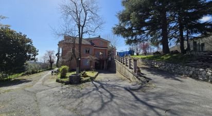 Casa indipendente 20 locali di 550 m² in Genova (16161)