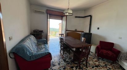 Appartamento 0 locali di 185 m² a Ilbono (08040)