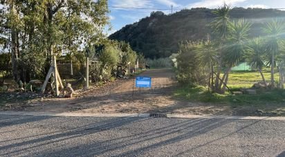 Terreno di 0 m² in Tortolì (08048)