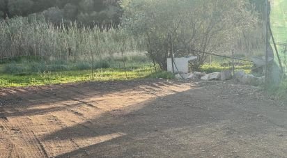 Terreno di 0 m² in Tortolì (08048)