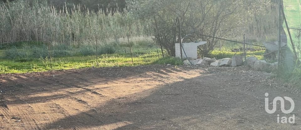 Land of 0 m² in Tortolì (08048)