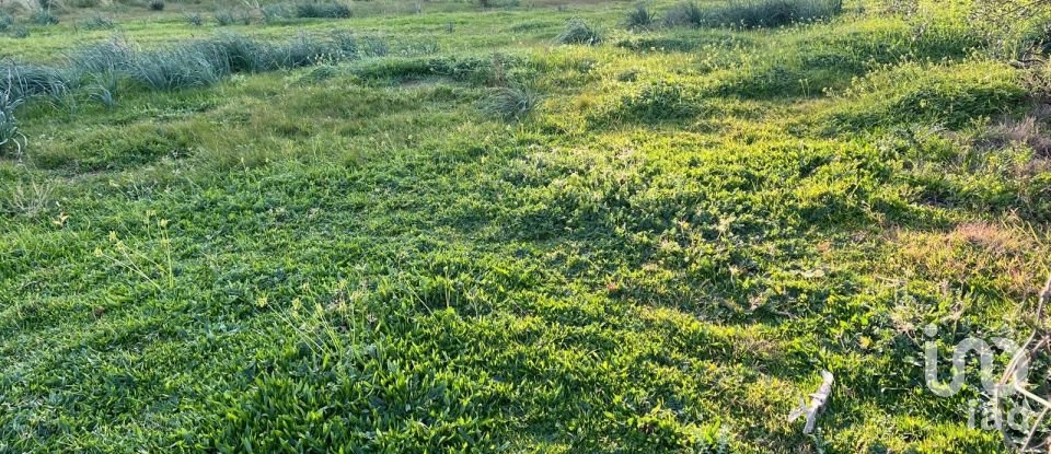 Land of 0 m² in Tortolì (08048)