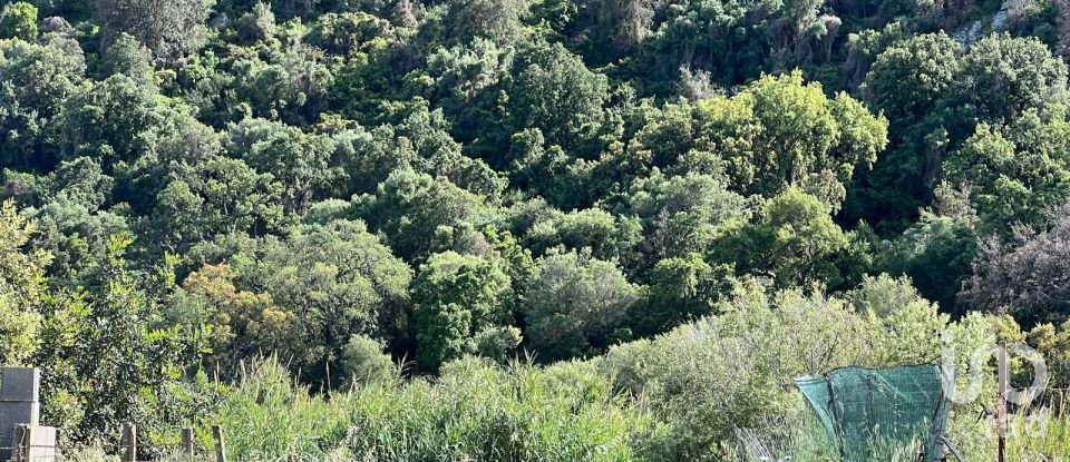 Land of 0 m² in Tortolì (08048)