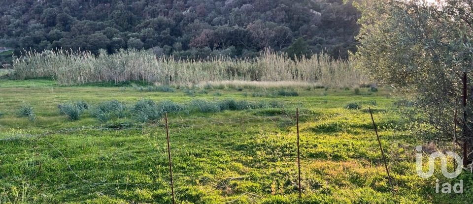 Land of 0 m² in Tortolì (08048)