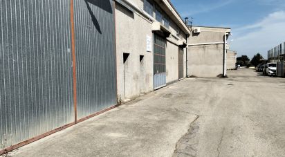 Capannone di 220 m² in Silvi (64028)