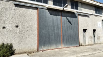 Capannone di 220 m² in Silvi (64028)