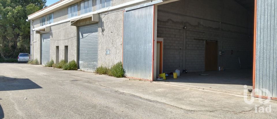Capannone di 220 m² in Silvi (64028)