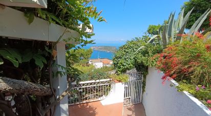 Appartamento 12 locali di 161 m² a San Nicola Arcella (87020)