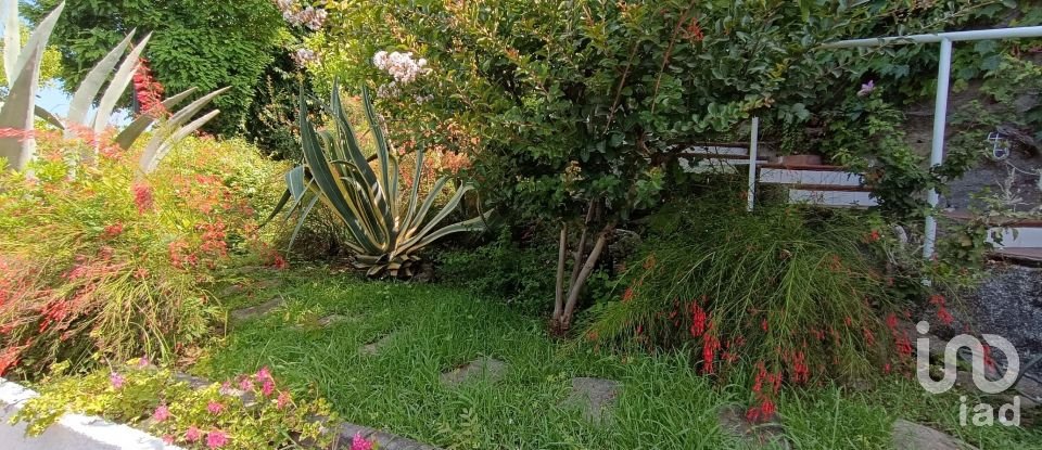 Apartment 12 rooms of 161 m² in San Nicola Arcella (87020)