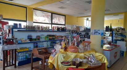 Negozio / locale commerciale di 428 m² in Castellalto (64020)