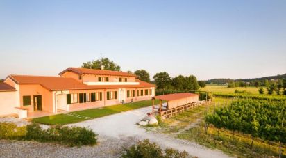 Varie superfici di 0 m² in Monzambano (46040)