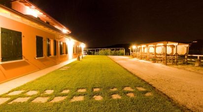 Varie superfici di 0 m² in Monzambano (46040)