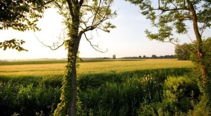 Varie superfici di 0 m² in Monzambano (46040)