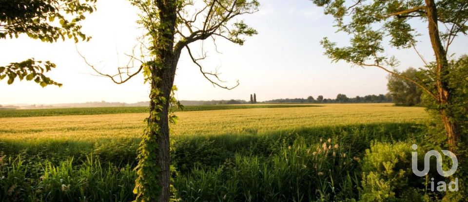 Varie superfici di 0 m² in Monzambano (46040)