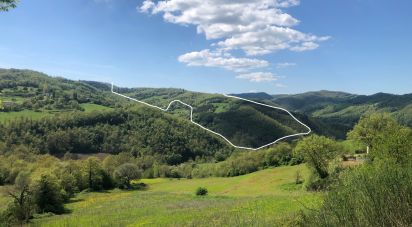 Terreno agricolo di 390.000 m² in - (06026)