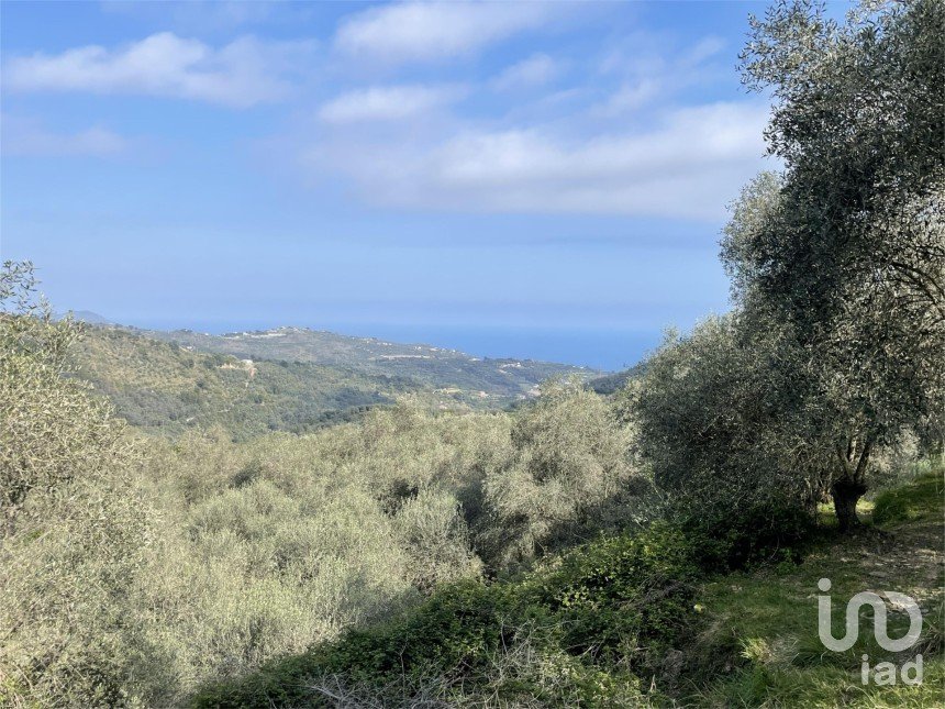 Terreno di 3.919 m² in Cipressa (18017)