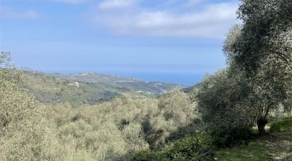 Terreno di 3.919 m² in Cipressa (18017)