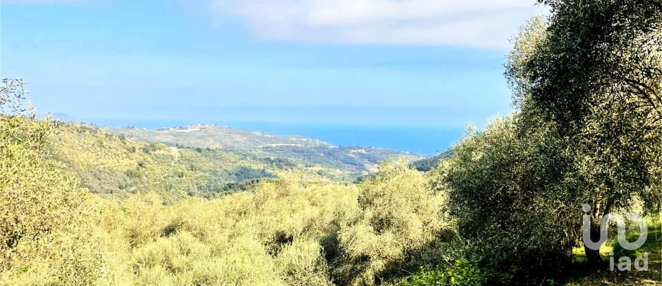 Terreno di 3.919 m² in Cipressa (18017)