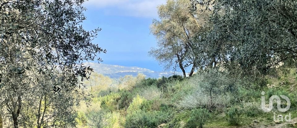 Terreno di 3.919 m² in Cipressa (18017)